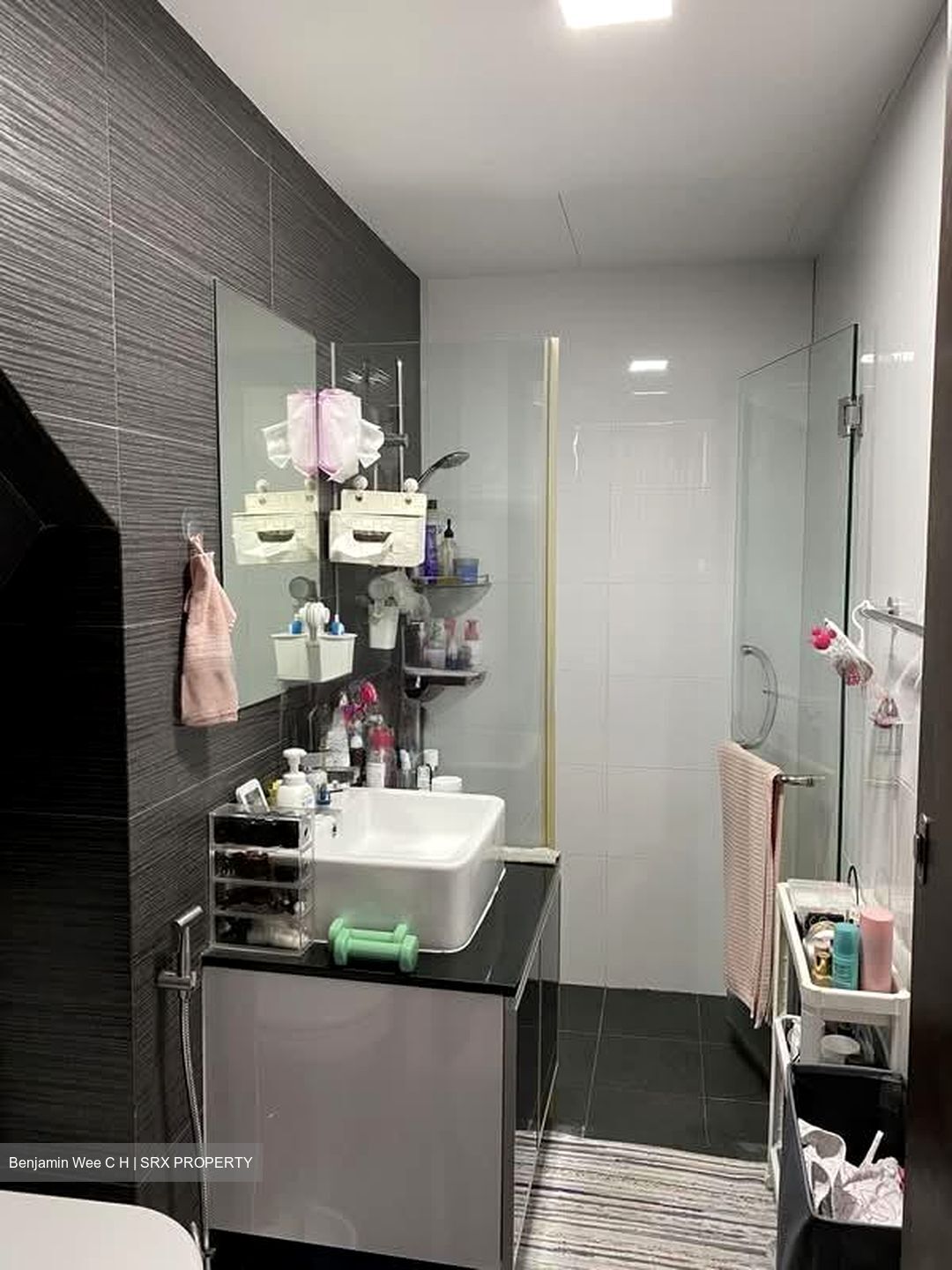 Loft @ Rangoon (D8), Apartment #566653041